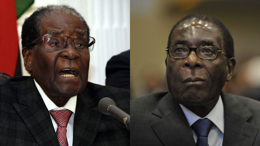 Zimbabwe's President Robert Mugabe resigns