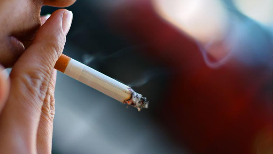 Children of smokers 'risk adult disease'