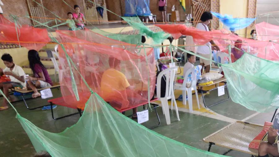 Philippines declares dengue fever epidemic
