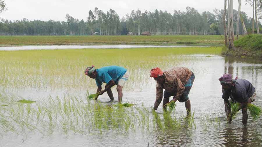 BD tops GDP growth in the world over last 10 yrs: Finance Minister