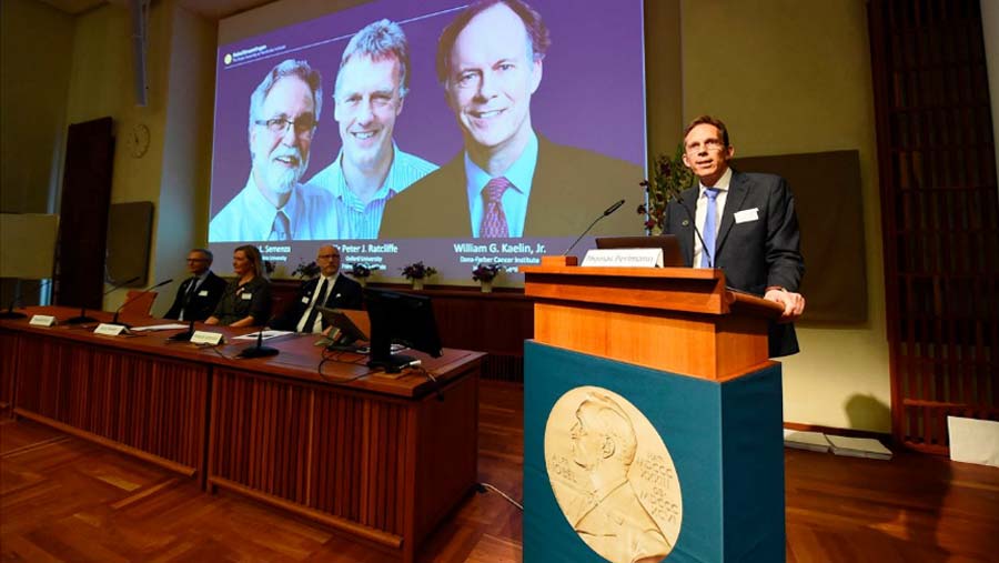 Nobel Prize in Medicine awarded to US and British scientists