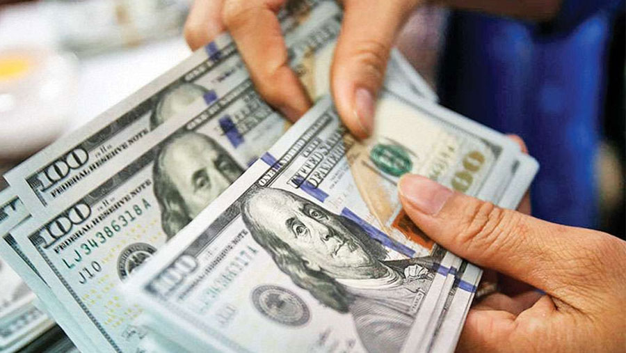 Forex reserves hit record high over $34 billion