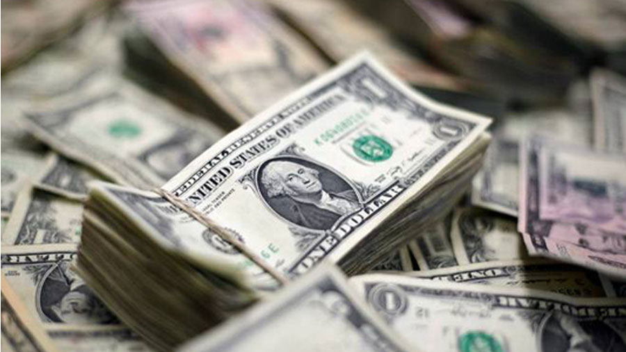 Forex reserves hit record high of over $43 billion