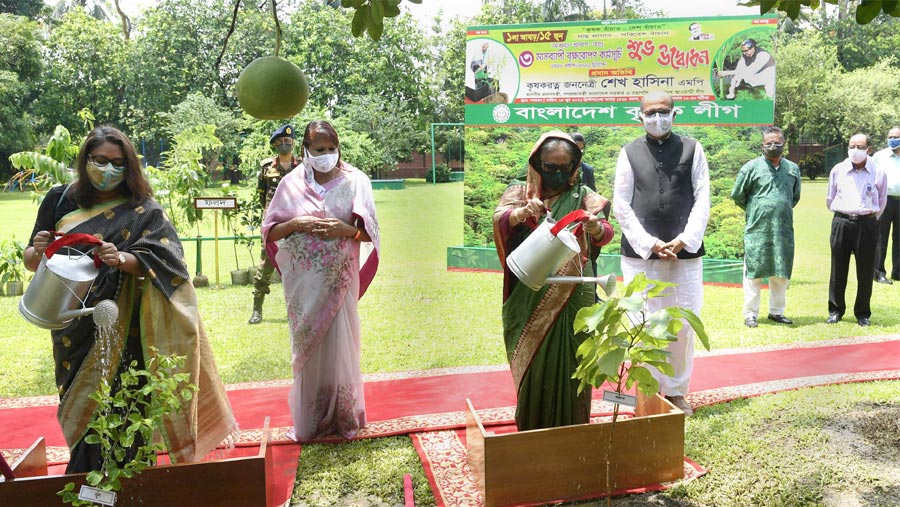 Govt working for more afforestation, environmental development: PM