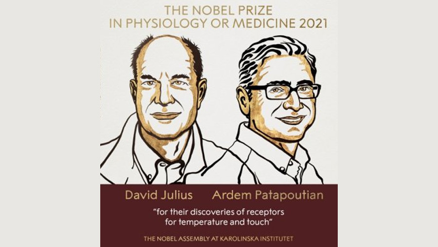 US duo win Nobel for work on temperature and touch