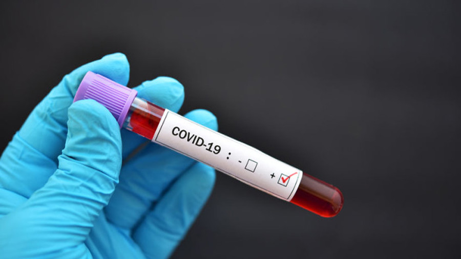 Shanghai reports first Covid deaths of current outbreak