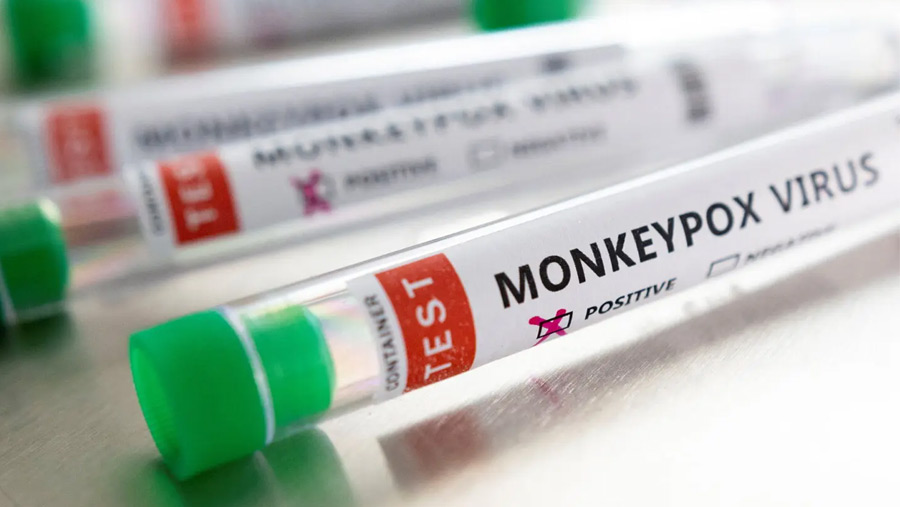 WHO to decide on sounding highest alarm on monkeypox
