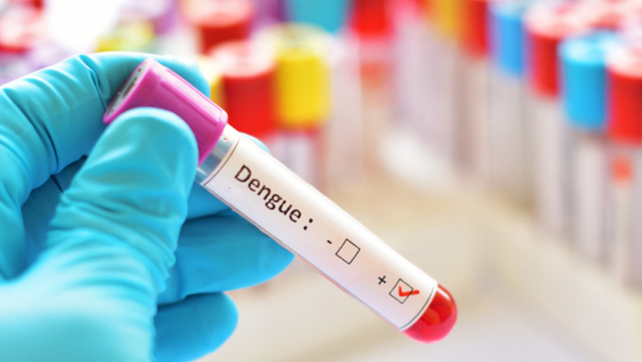 Tk 50 fees fixed to test dengue at hospitals
