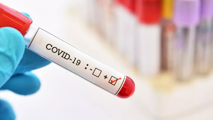 WHO warns of concerning Covid trends ahead of winter